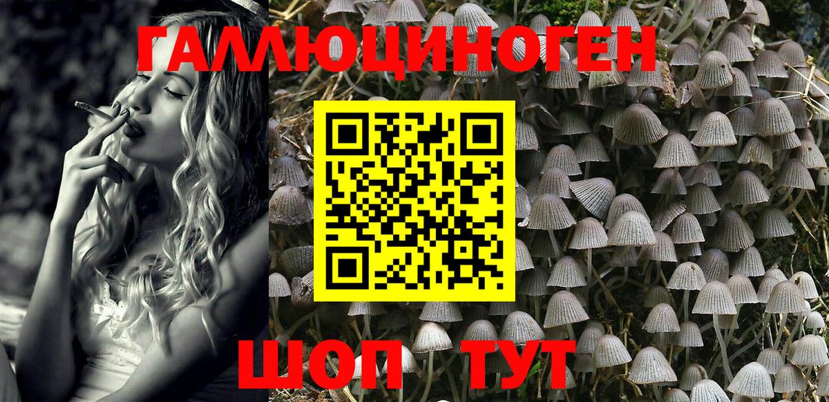 Галлюциногенные грибы MAGIC MUSHROOMS Полевской